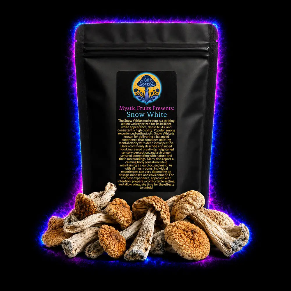 Medical Mushrooms