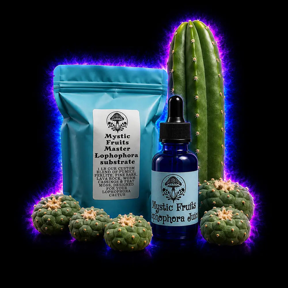 Sacred Cacti
