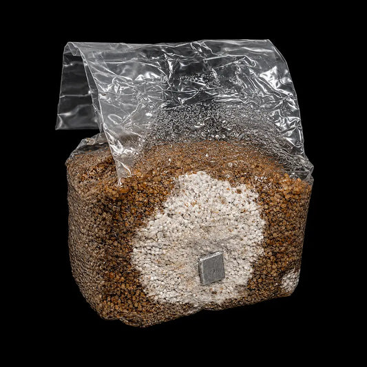 3 lb Inoculated Sorghum Grain Bags