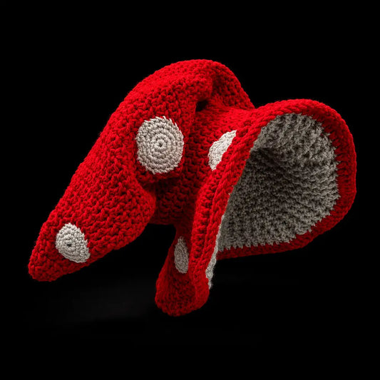 Red Mushroom Wizard Hat