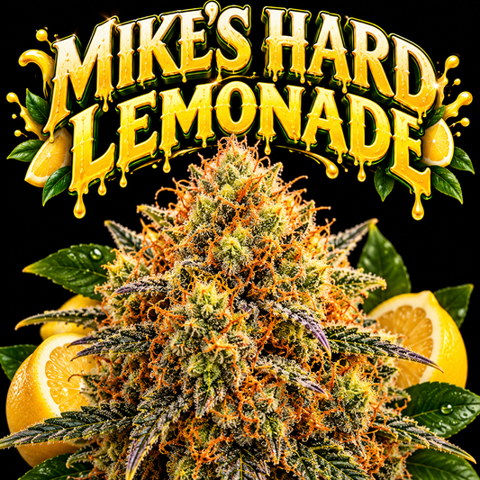 Mikes Hard Lemonade THCa 7 Grams
