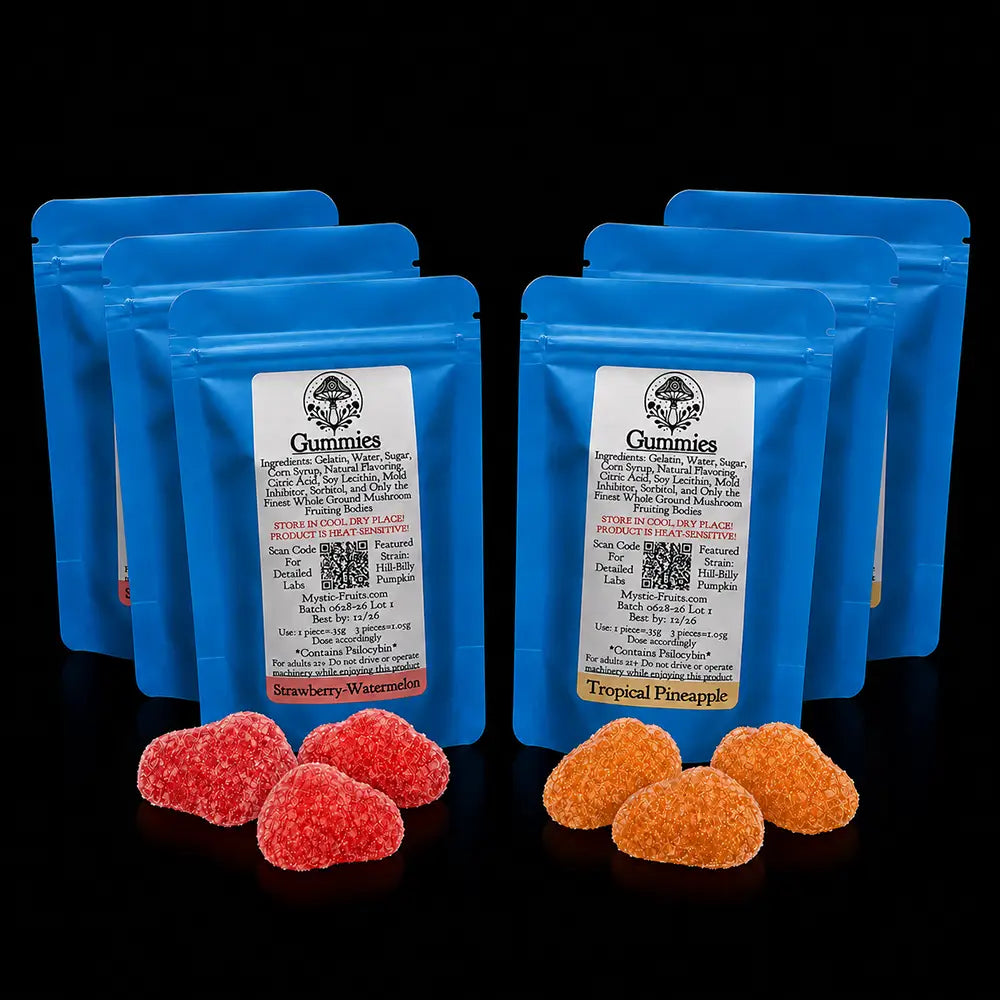 Variety 6 Pack